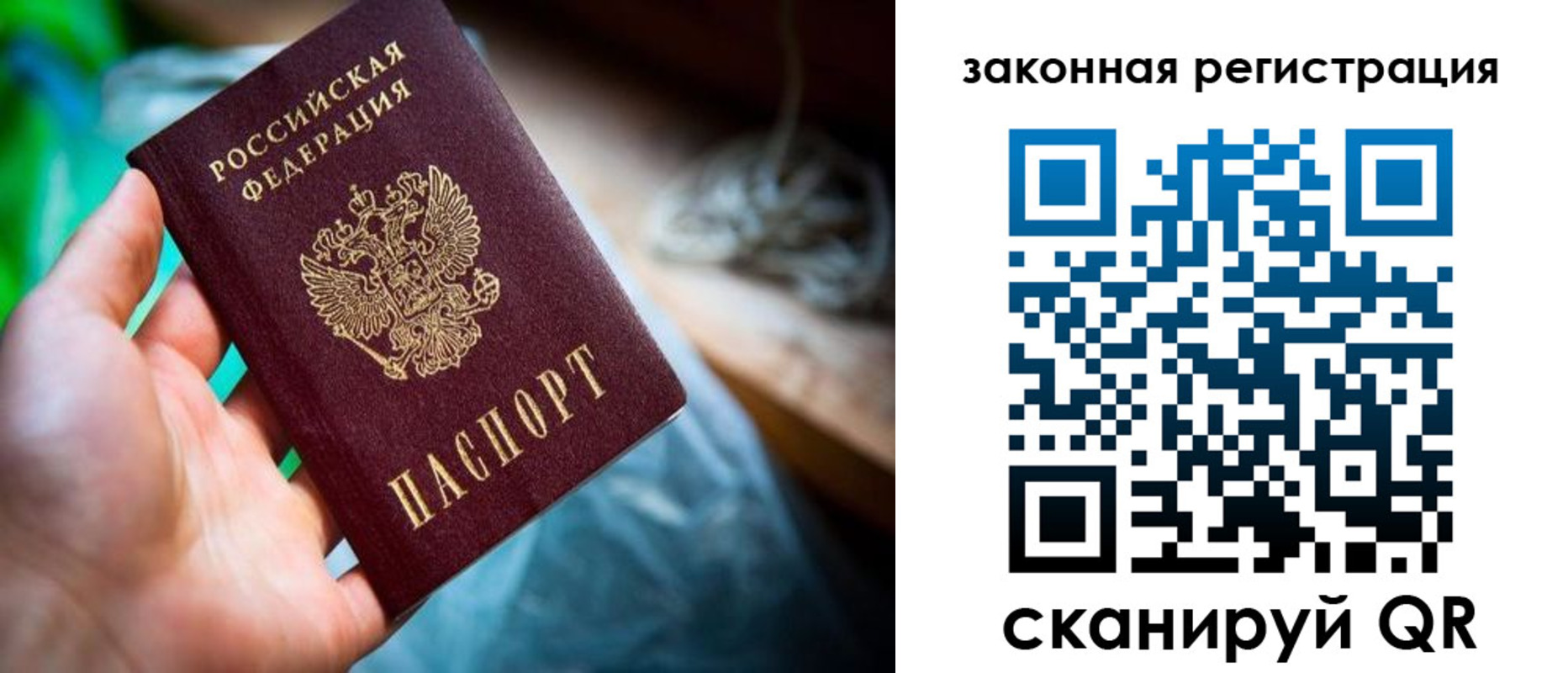прописка в Рославле